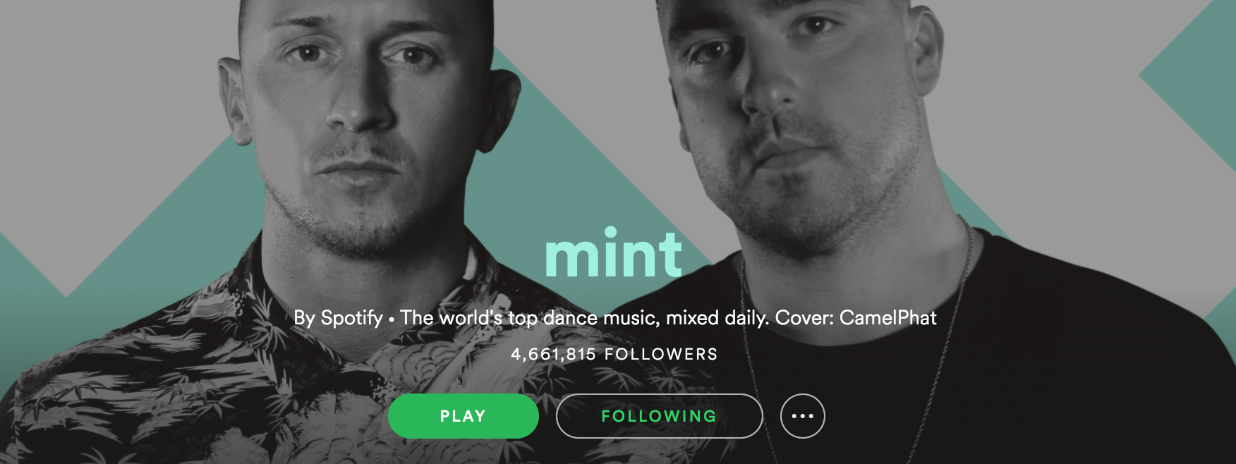 Minty Fresh: Spotify Makes a New Home for EDM